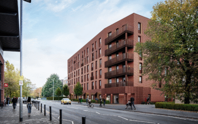 Alpha House gets the green light