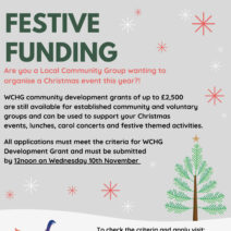 Festive Community Grants