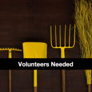 Volunteer for Community Gardening Tool Hire