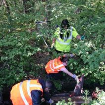 Mill Brook Stream Clean Up