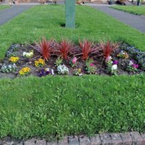 New Community Garden for Mitchell Gardens