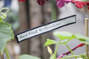 Real Food Education and Sustainability Coordinator