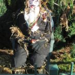 WCHG 2016 Scarecrow Competition