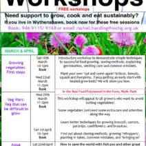 FREE Real Food Workshops