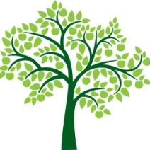 Wythy Tree Youth Bank